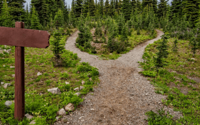 When Life Has You Feeling Down