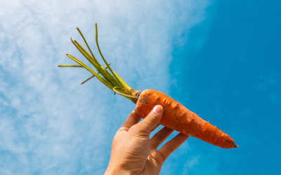 How Committed Are You REALLY?