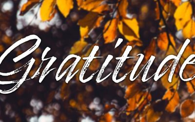 Embracing Gratitude